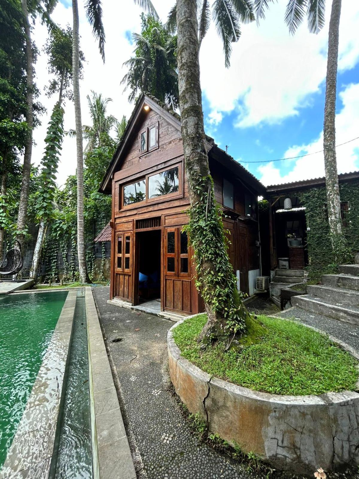 Tirta Padi Villa Ubud Zewnętrze zdjęcie